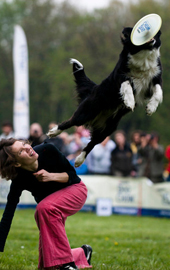 frisbee